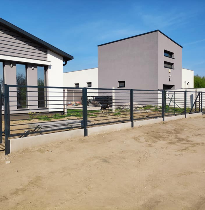 Kerítéskirály - kerítés/kapu